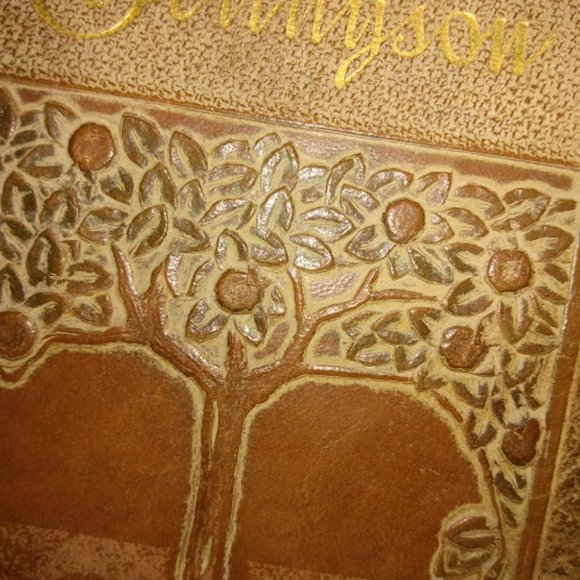 The Poems Of Alfred Lord Tennyson copyright 1900 Embossed Moroccan Leather Boxed - Picture 11 of 12